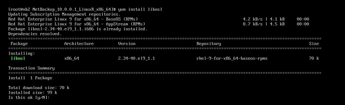 Netbackup:Installing master server on Linux – tech journey